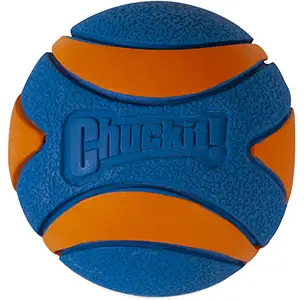 Chuckit! Ultra Squeaker Dog Ball