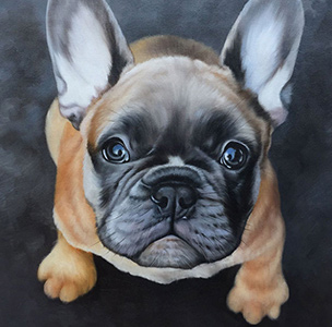 Custom Pet Portraits