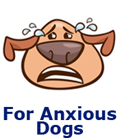 For Anxious Dogs