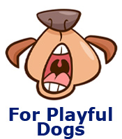 For Playful Dogs