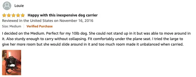 Louie - AmazonBasics Soft-Sided Pet Carrier Review