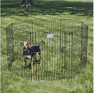 MidWest Homes for Pets Exercise Pen