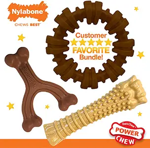 Nylabone Power Chew Textured Dog Chew Ring Toy