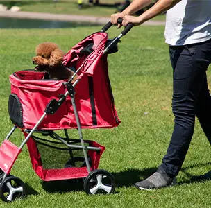 Paws & Pals 4 Wheeler Elite Jogger Pet Stroller