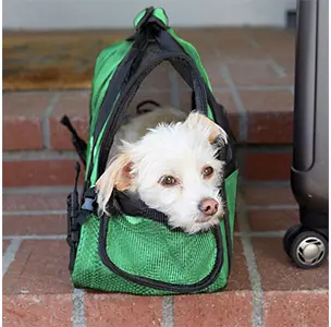 Paws & Pals Airline Approved Pet Carrier With Dog