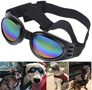 QUMY Dog Goggles Eye Wear