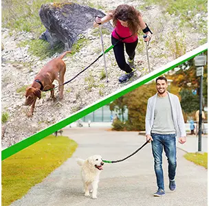 SparklyPets Hands-Free Dog Leash