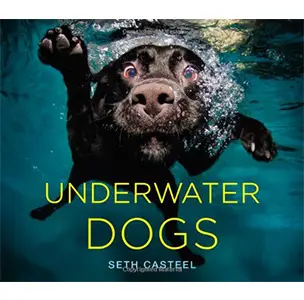 Underwater Dogs