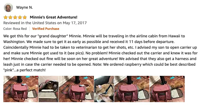 Wayne N - Mr. Peanut's Airline Approved Soft Sided Pet Carrier Review