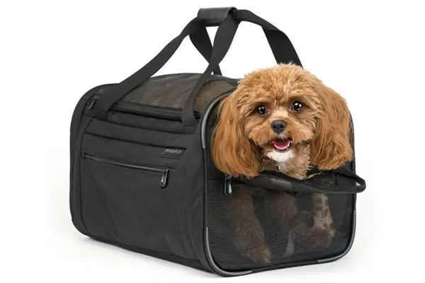 Are dog carriers safe