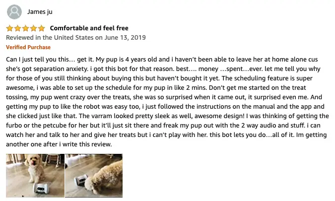 James Ju - VARRAM Pet Fitness Robot Review