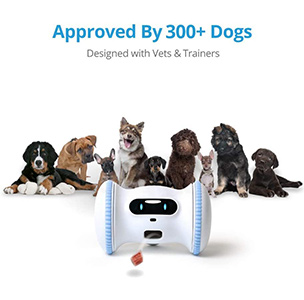 VARRAM Pet Robot Pricing And Availability