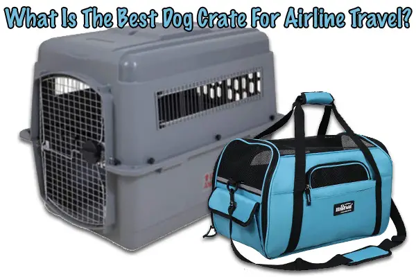 best pet carriers for air travel