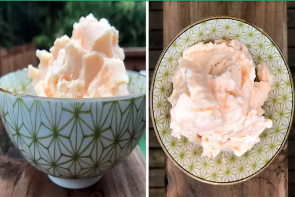 cantaloupe ice cream for dogs