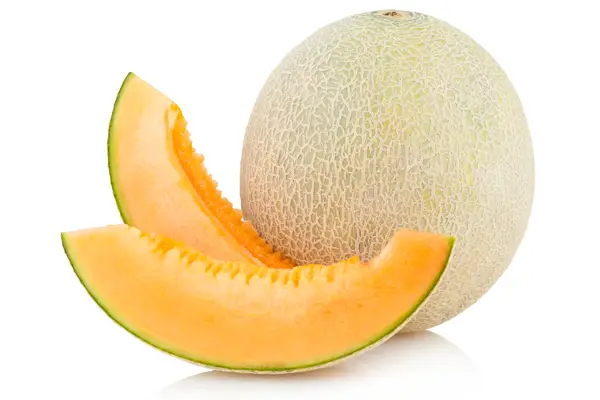 cantaloupe treats for dogs