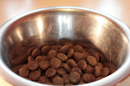 dog food in pet carrier