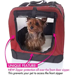 2PET Foldable Dog Travel Crate