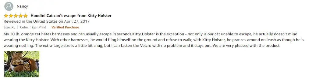 Kitty Holster Cat Harness User Review