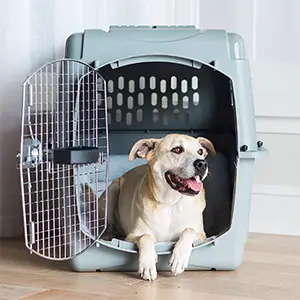 Petmate Dog Crate Carrier