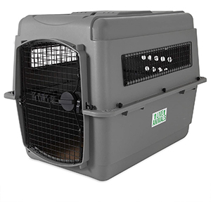 Petmate Sky Kennel Pet Carrier