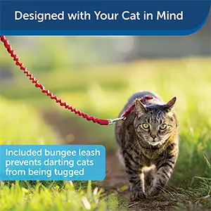 Petsafe Come With Me Kitty Harness
