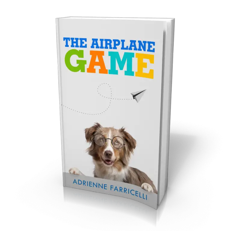 The Airplane Game Book