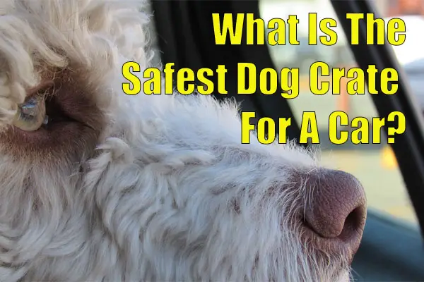 what is the safest dog crate for a car