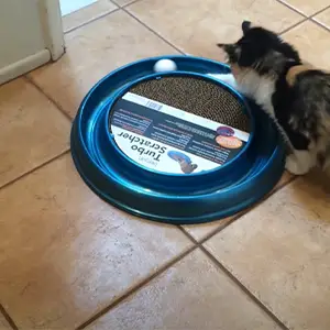 Bergan Turboscratcher Cat Toy