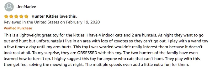 JenMariee - Running Pet Cat Toy Review