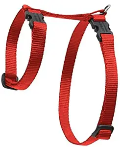 Lupine Pet Harness Review