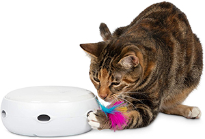 PetFusion Ambush Electronic Cat Toy Review
