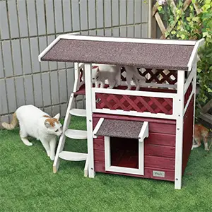 Petsfit Outdoor Cat House Review