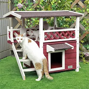 cat house with door