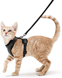 Rabbitgoo Cat Harness Review