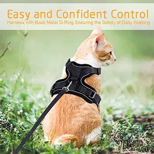 Rabbitgoo Cat Vest Harness Review