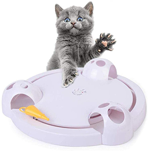 Running Pet Cat Toy Review