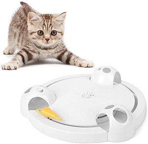 Running Pet Interactive Cat Toy