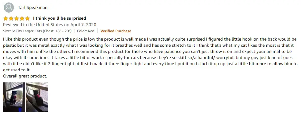 Tarl Speakman - Rabbitgoo Cat Vest Harness Review