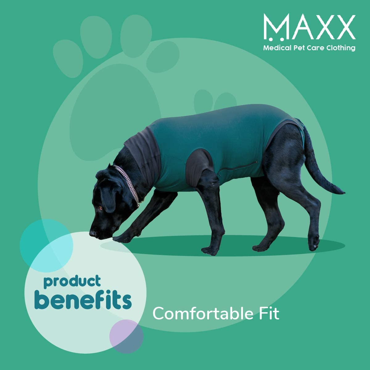 MAXX Dog Recovery Suit - Comfortable Fit