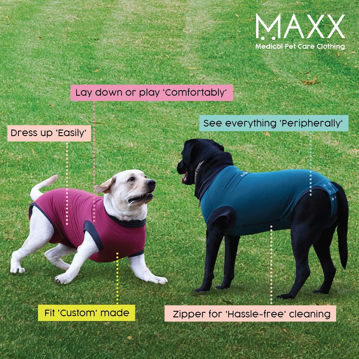 MAXX Dog Recovery Suit Review