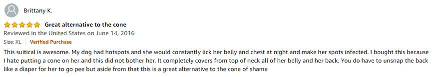Brittany K Suitical Review