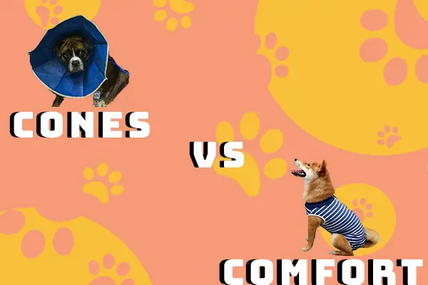 Cones vs comfort 2