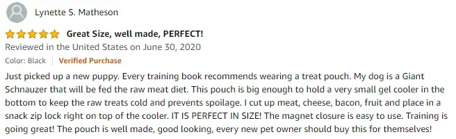 Review Of eBasics Dog Pouch - Lynette S. Matheson