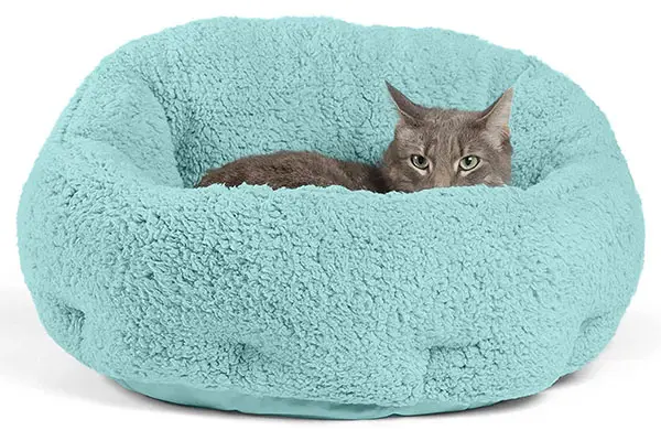 Best Friends by Sheri OrthoComfort Deep Dish Cuddler Review