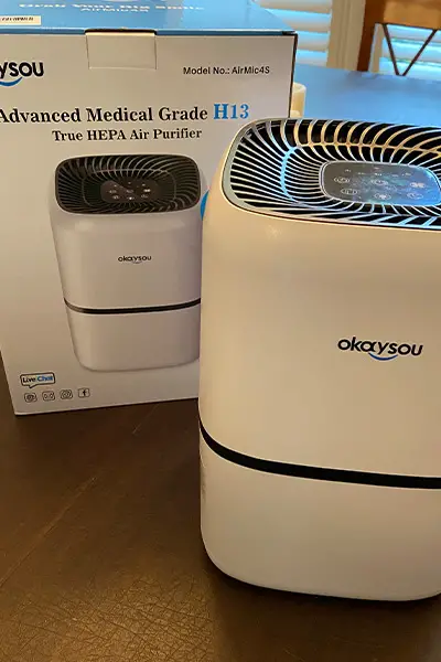 Okaysou AirMic4s Air Purifier