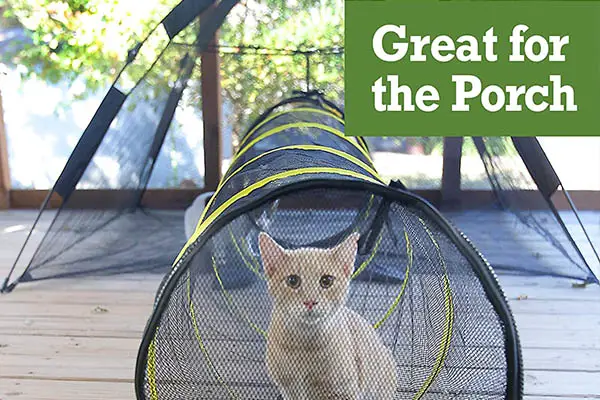 Outdoor Cat Enclosure For Indoor Cats