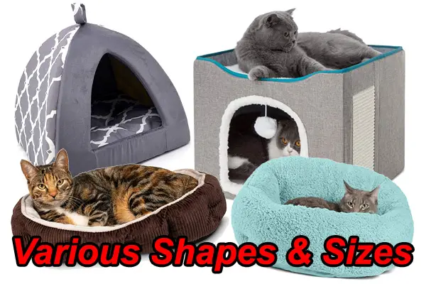 Cat Beds in all shapes and sizes