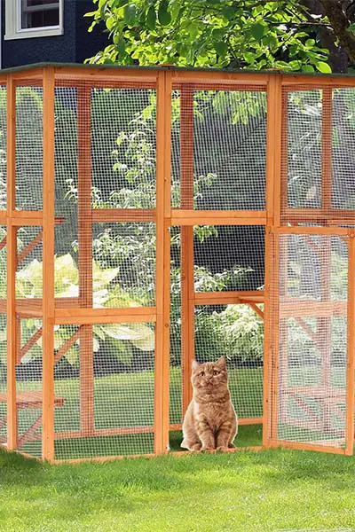 PawHut Wooden Outdoor Catio Review