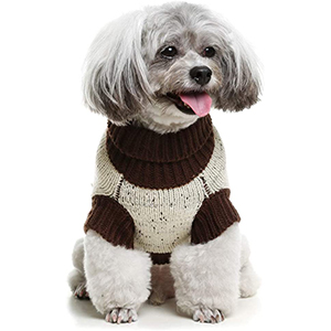 BINGPET Stylish Dog Sweater