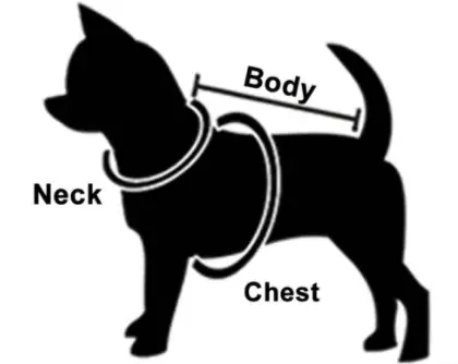 How To Measure Small Dog For Sweater